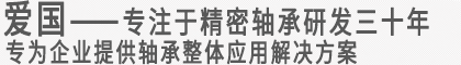 瓦房店愛國軸承研究院有限公司